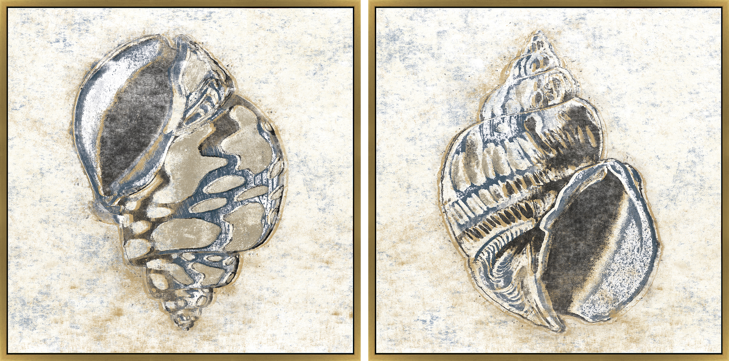 Seashells I & II