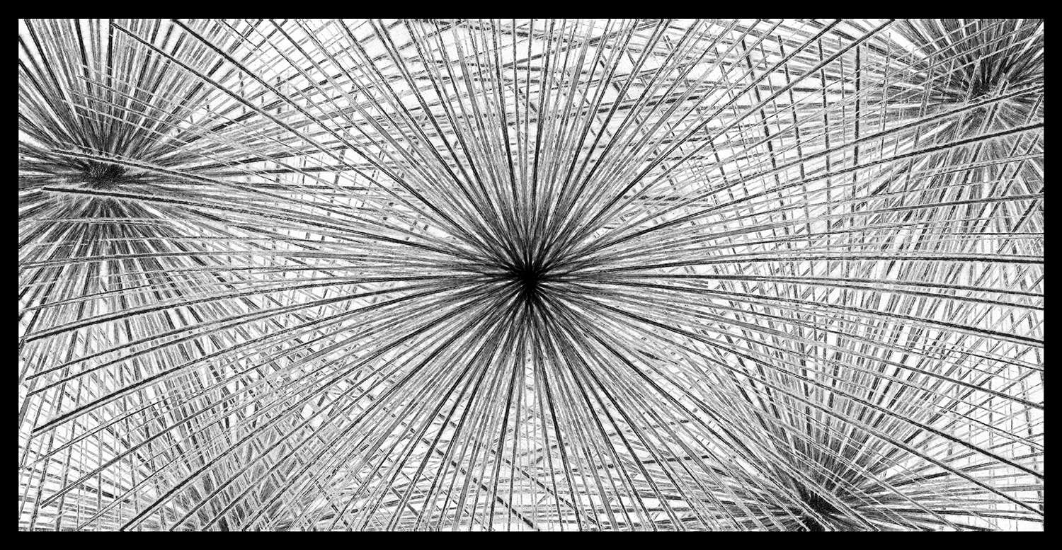 Web of Design